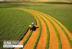 واردات محصولات کشاورزی؛ موافق یا مخالف توسعه پایدار
