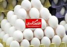 سود مرغداران را واحدهای بسته بندی تخم مرغ می برند