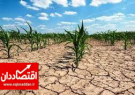 تکنوکراسی راه نجات کشاورزی ایران