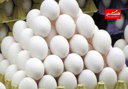 علت افزایش اخیر قیمت تخم‌مرغ