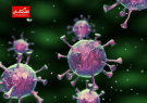 کشف آنتی‌بادی جدیدی برای ویروس کرونا