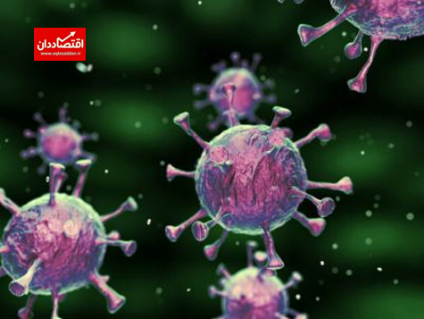 کشف آنتی‌بادی جدیدی برای ویروس کرونا