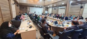 نقش سمن ها در برنامه چهارم توسعه تهران