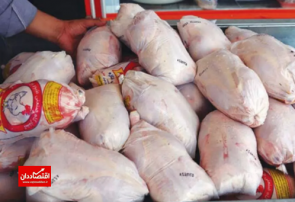 علت گرانی قیمت مرغ چیست؟