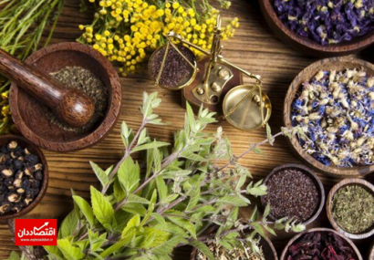 تنوع گونه‌های گیاهان دارویی در ایران