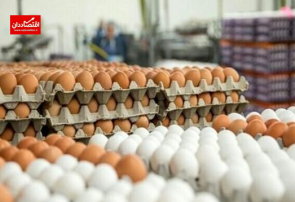 بازار تخم مرغ از دست دولت خارج شد