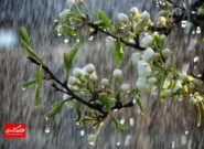 بارش‌ها در نواحی شرقی کشور تشدید می‌شود