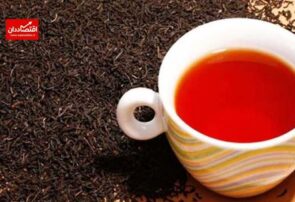 هشدار نسبت به کمبود چای با ادامه انحصار