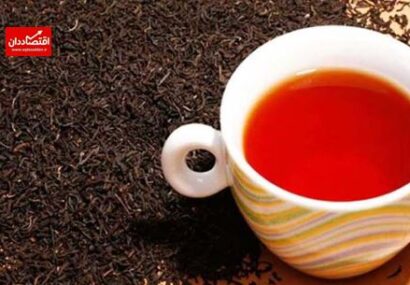 هشدار نسبت به کمبود چای با ادامه انحصار