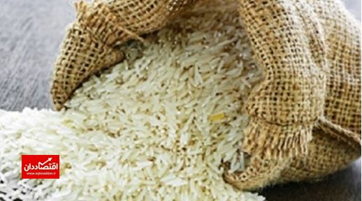 واردات برنج تا ابتدای آذر ممنوع است