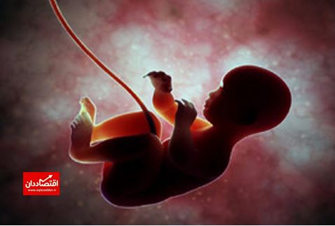 آیا غربالگری جنین ممنوع شده است؟