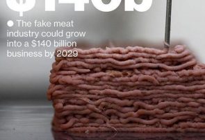 افزایش تولید گوشت تقلبی در جهان