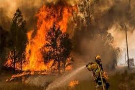 ۹۰ درصد آتش‌سوزی مراتع ارسباران خاموش شد