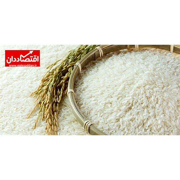 واردات برنج ۵۰درصد کاهش یافت