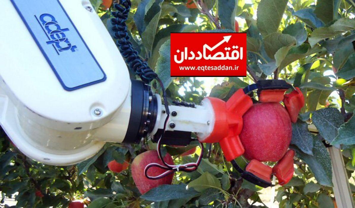 بالا بردن کیفیت سیب استفاده از فناوری های نوین