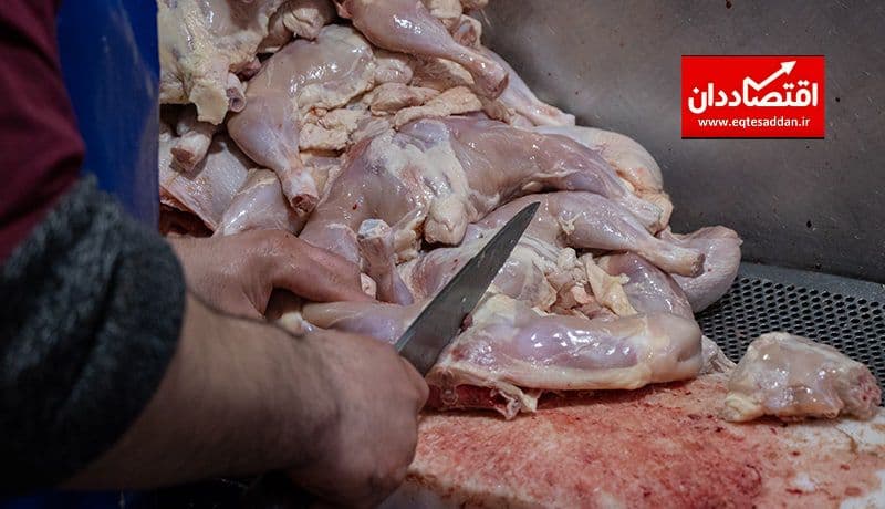 توزیع مرغ گرم با قیمت ۱۸,۵۰۰ تومان در بازار