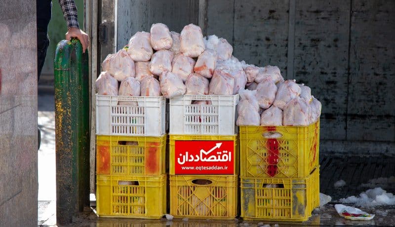 توزیع مرغ ۱۸۵۰۰ تومانی از شنبه در فروشگاه‌ها