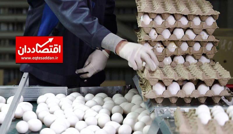 علت گرانی ۵۰ درصدی تخم مرغ چیست؟