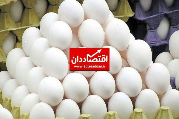 سود مرغداران را واحدهای بسته بندی تخم مرغ می برند