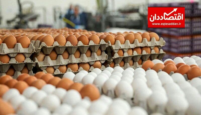 کاهش قیمت تخم‌مرغ در راه است
