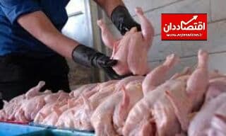 توپ گرانی «مرغ» به زمین وزارت جهاد افتاد