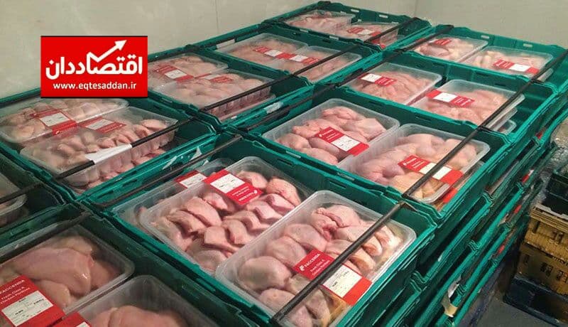 صادرات ۴ هزار تن مرغ در زمان ممنوعیت!