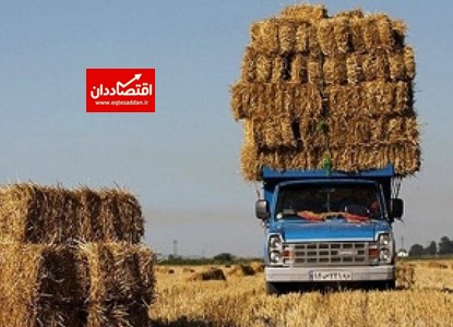 قاچاق خوراک دام به امارات