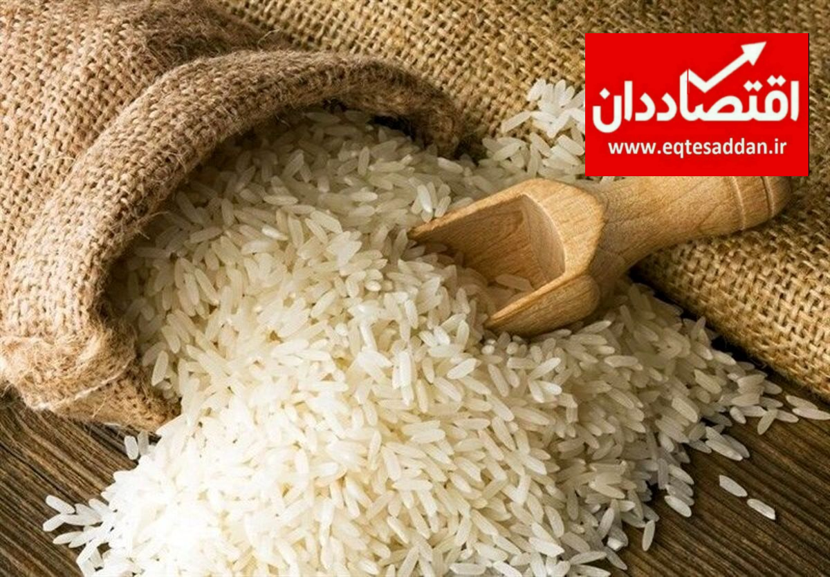 آخرین آمار تولید برنج در ایران