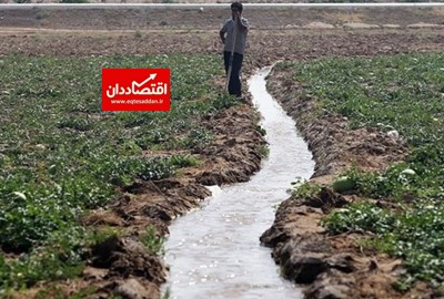 خوزستان قطب کشاورزی کشور