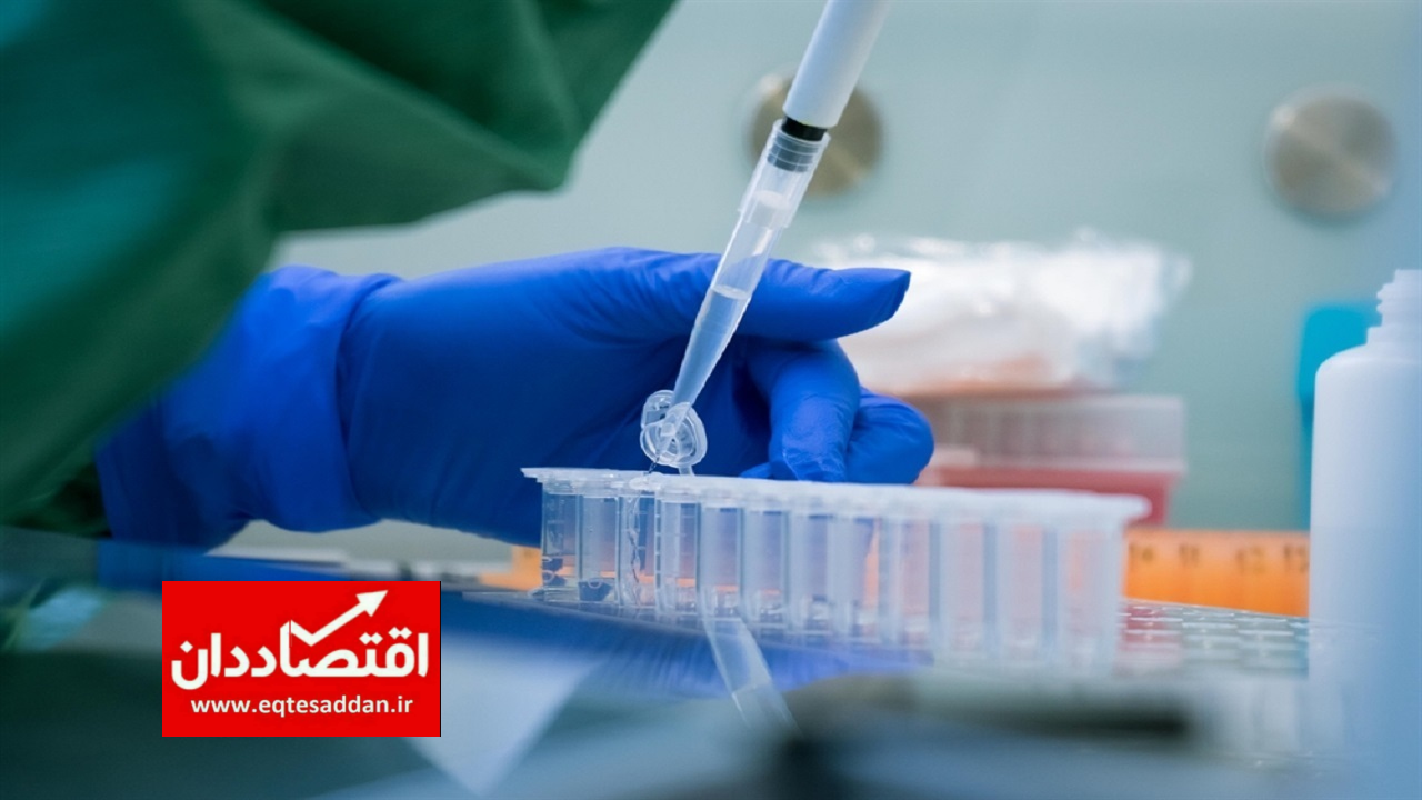 مراجعه بیماران کشور‌های همسایه برای سلول درمانی به ایران