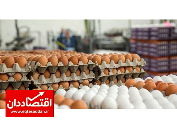 ۵دلیل افزایش قیمت تخم مرغ