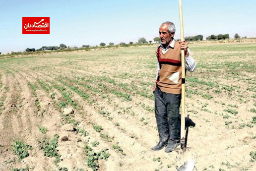 سرنوشت کشاورزی در ایران