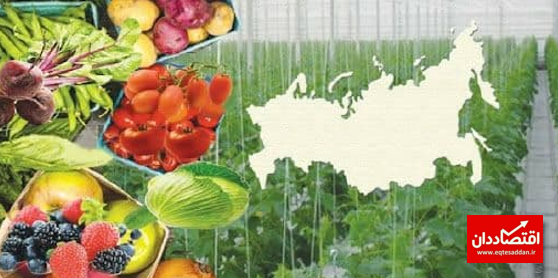 افزایش صادرات محصولات کشاورزی روسیه