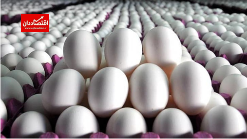 قاچاق تخم مرغ از کشور صحت دارد؟