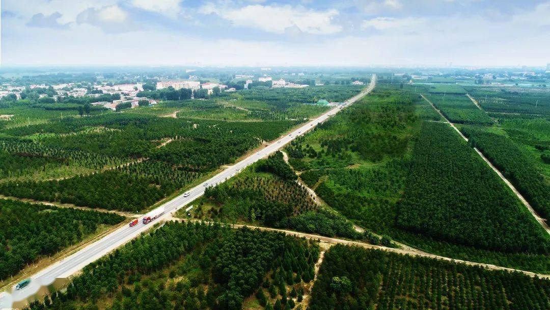 چین پیشگام حفظ جنگل‌ها در جهان
