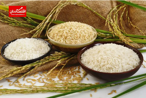راهکار وزارت کشاورزی برای ارزانی برنج