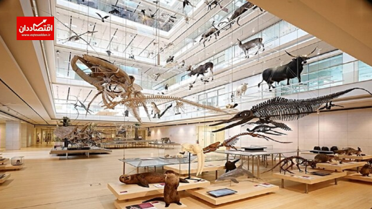 در موزه‌های علمی برتر جهان چه می‌گذرد؟