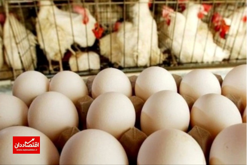 قیمت تخم‌مرغ بالاتر از توان مردم است