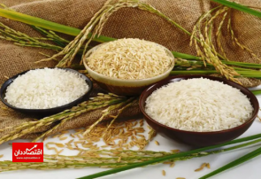 پیش بینی قیمت برنج خارجی در روزهای آینده