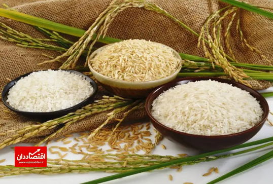 پیش بینی قیمت برنج خارجی در روزهای آینده