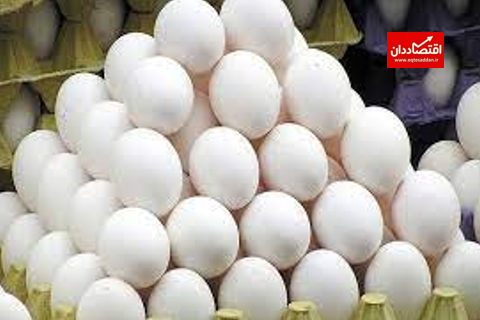 علت افزایش اخیر قیمت تخم‌مرغ