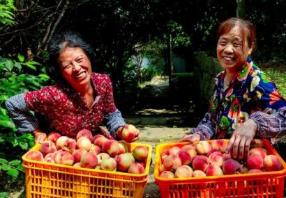 یاری شبکه لجستیکی قدرتمند چین به توسعه بازار محصولات کشاورزی