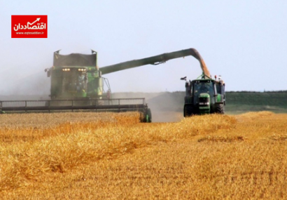 توقف واردات گندم در گرو افزایش بهره وری است