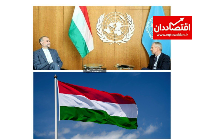 ماجرای استفاده از پرچم مجارستان در دیدار وزیر امور خارجه با چابا کروشی