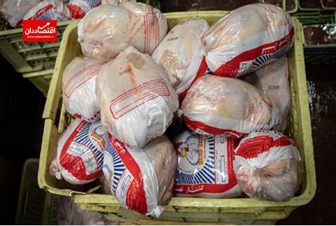 قیمت جدید مرغ بعد از ماه رمضان اعلام می‌شود