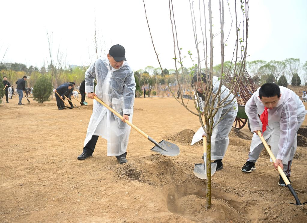 کاشت درخت توسط رئیس جمهور چین در پکن و تشویق به جنگل کاری بیشتر برای ایجاد چین زیبا