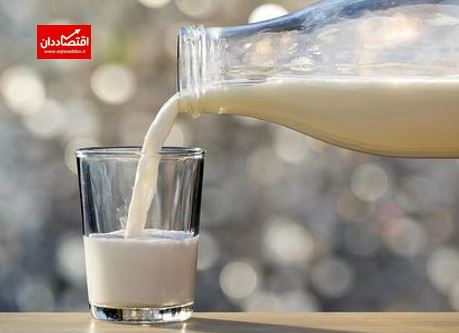 چرا شیر خام گران شد؟