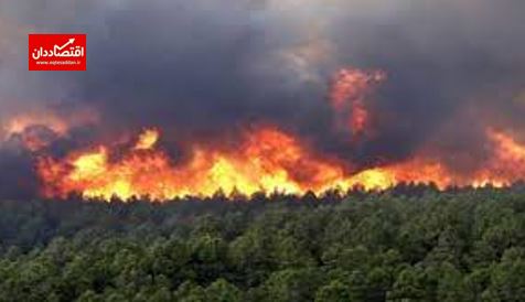 آتش سوزی در جنگل های مریوان و گرما در خوزستان