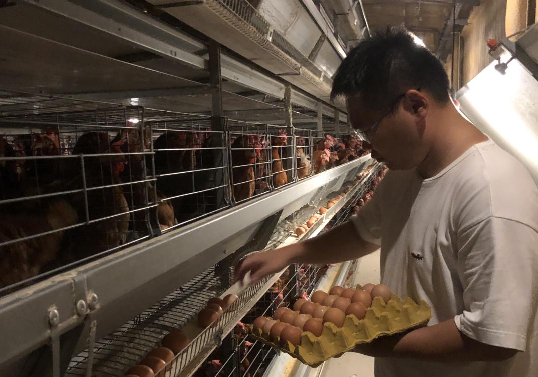 تحقق رویای جوانی برگشته از خارج از کشور با توسعه صنعت «تخم مرغ طلایی»