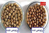 تلفات غذا در ایران و جهان چقدر است؟